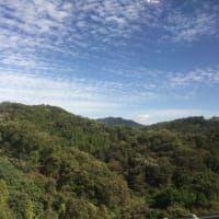 自由な人たちとやってゆく、その前に