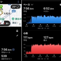心房細動出さずに早朝ラン８ｋｍ & 夕方に芝刈り