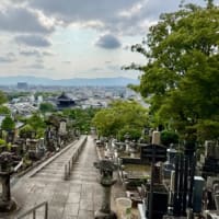 🚶‍➡️〜金戒光明寺🎻京都音楽Caravan 6/1/‘25