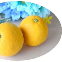 夏の柑橘ジュース