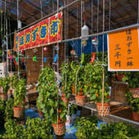 何年かぶりの「ほおずき市」