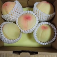 暑くなりました。近況報告です。