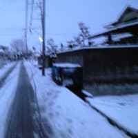 高松市内が大雪の時に感じたこと