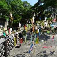 七夕　星に願いを・・・’25