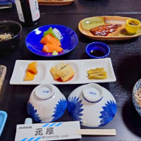 【釣】清流に癒されるも厳しい釣果　（2025/06/28　鮎　大洞川・小坂川）