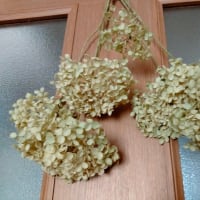 今週の手作り