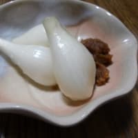 夏花壇にリメイク