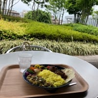 市役所でランチ