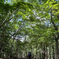 名山300登山　39/300   三嶺（徳島県）