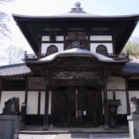 こだま千本桜と芝桜とさざえ堂