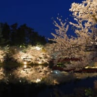 桜満開の弘前公園&津軽鉄道
