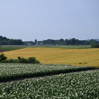 美瑛みたい～♪ in 由仁町