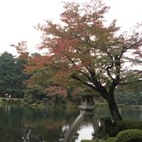 兼六園の写真