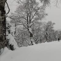 蔵王温泉でスキー