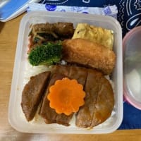 ６．２０　チキンバ弁当弁当