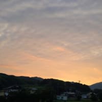 ヤブカンゾウの空