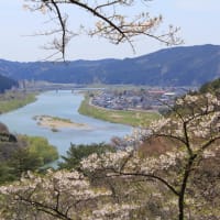 能代市二ツ井町きみまち阪自然公園の桜とパワースポット七座山
