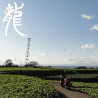 うっとり隊長は生きてた