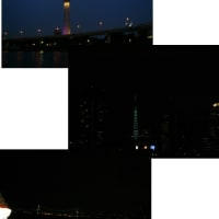 スカイツリーと東京タワーとレインボーブリッジと。