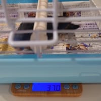 マルちゃんたくさん食べてました
