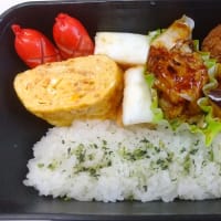 2025.6.19(木)20(金)のお弁当とお掃除ロボットと野菜の収穫