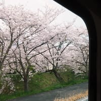 桜井線・和歌山線、奈良～五条
