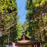 台風の片付け　冠嶽神社　いちき串木野市