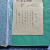 谷崎潤一郎の『青春物語』