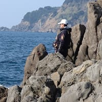 矢が浜釣行