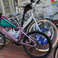 ステインさんご来店