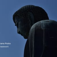 世を見つめている鎌倉の大仏