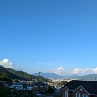 夏越の大祓いを斎行致しました