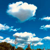20230916　夏の雲から秋の雲　画像だけ