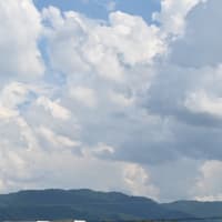平城京松林苑とは