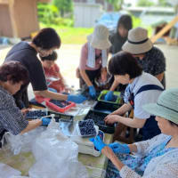 「一旦木綿」と「末長～い友達」