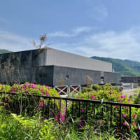 湯村山〜緑ヶ丘スポーツ公園