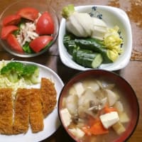 6/19　ばんごはん　とんかつ　けんちん汁