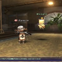 やべっ！このブログすっかり忘れてた ヤレヤレ ┐(´ー｀)┌ マイッタネ