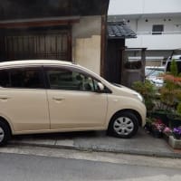 2011 Suzuki Alto-G, Milk Tea Vague Metallic 660cc