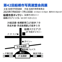 第４２回 船橋市写真連盟 会員展