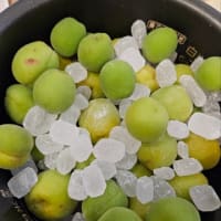 晒(さらし)はいいね