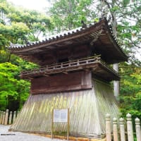 兵庫県加西市　一乗寺に行きました！　2024　４月