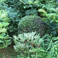 「つつじ・さつき」類の剪定は自己流。