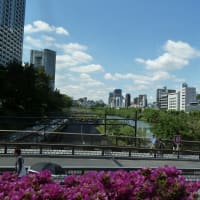 ５月・株売買結果　　「飯田橋駅より外堀公園を望む」