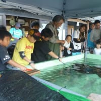 生物多様性フィールドワークを間越海岸で開催！