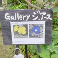 富山恵美子展を鑑賞　
