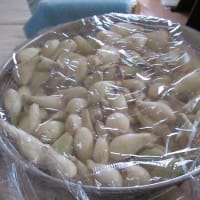 ラッキョのお値段