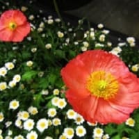 ６月　１８日