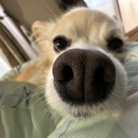 お見送り