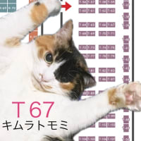 にゃんこ博覧会